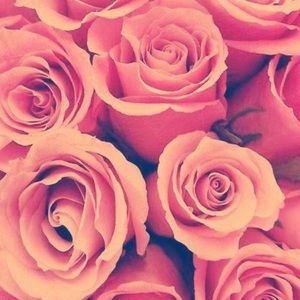 Meet your Posher, Deann